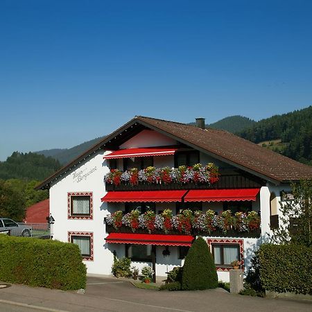 Haus Bergwiese Baiersbronn Kültér fotó