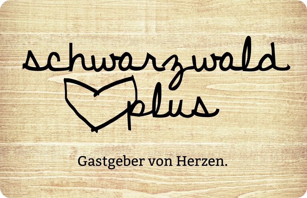 Haus Bergwiese Baiersbronn Kültér fotó