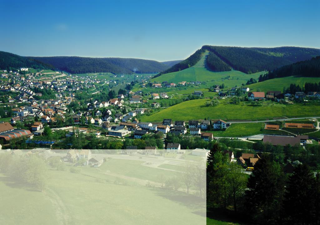 Haus Bergwiese Baiersbronn Kültér fotó