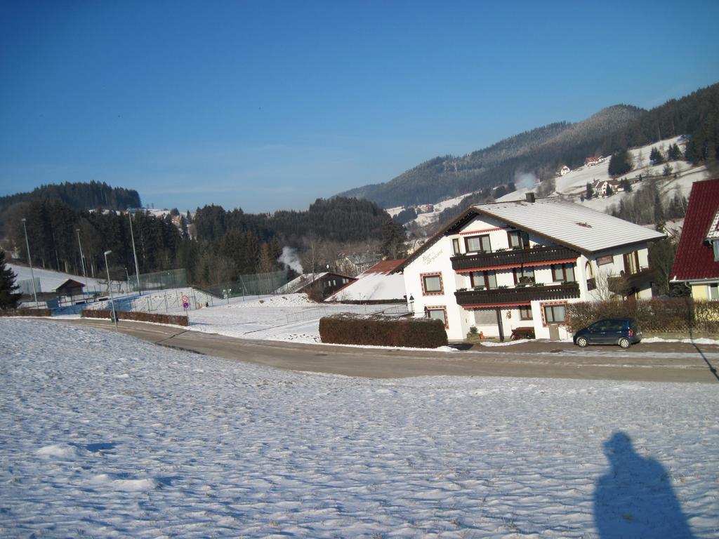 Haus Bergwiese Baiersbronn Kültér fotó