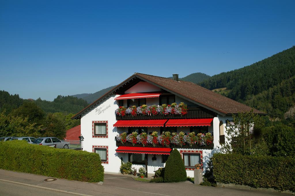 Haus Bergwiese Baiersbronn Kültér fotó